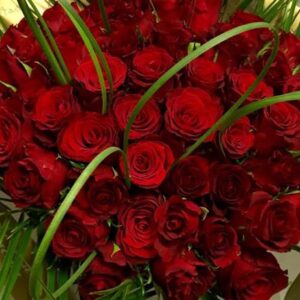 Margaret Raymond Florist 50 Red Roses