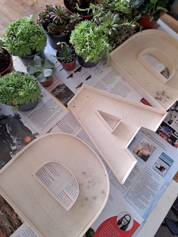 Biodegradable tribute letters with succulents and moss planted in wooden letter frames.