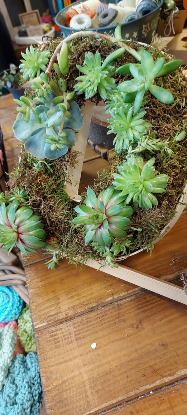Biodegradable tribute letters with succulents and moss planted in wooden letter frames.