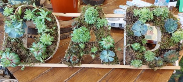 Biodegradable tribute letters with succulents and moss planted in wooden letter frames.