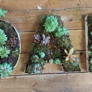Biodegradable tribute letters with succulents and moss planted in wooden letter frames.